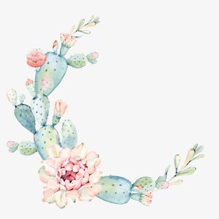 手绘水彩仙人掌植物免抠