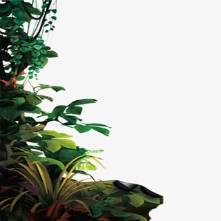 绿叶，藤，石，花-1免抠