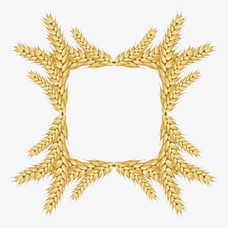内四边中空形外不规则金黄色小麦免抠
