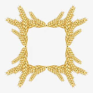 内四边中空形外不规则金黄色小麦免抠
