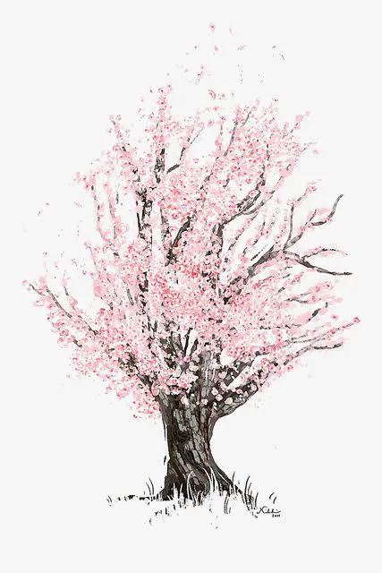 樱花树免抠