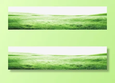 春天 绿地 草地 绿色 春光免抠背景场景背景元素 春天 绿地 草地 绿色 春光免抠背景场景背景元素