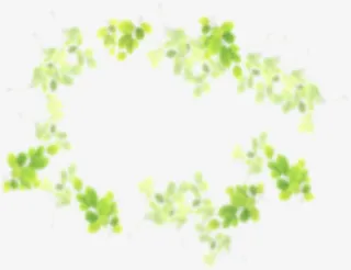 朦胧绿色叶子环状素材免抠
