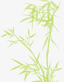粽子节绿色水彩竹子竹叶免抠 粽子节绿色水彩竹子竹叶免抠