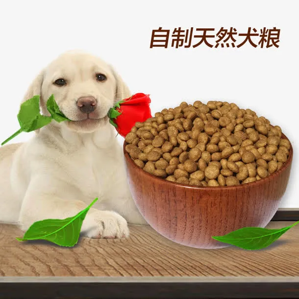 自制天然狗粮免抠
