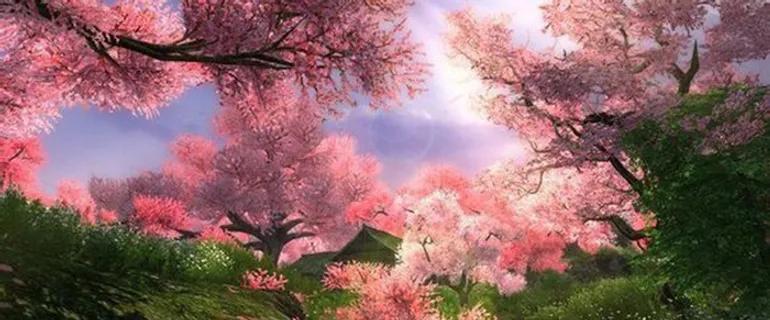 满屏桃花村高清