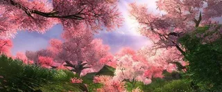 满屏桃花村高清