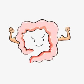 健康的肠道免抠