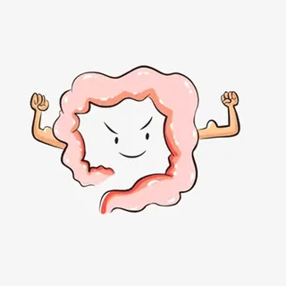 健康的肠道免抠