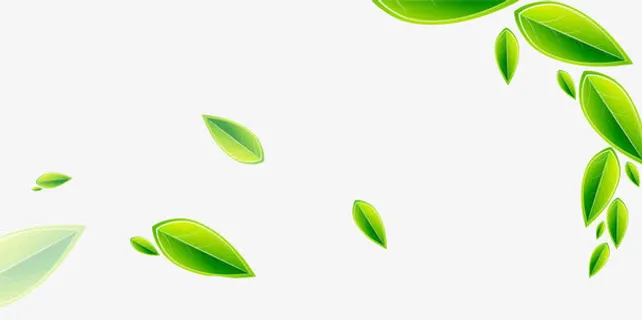漂浮叶子免抠