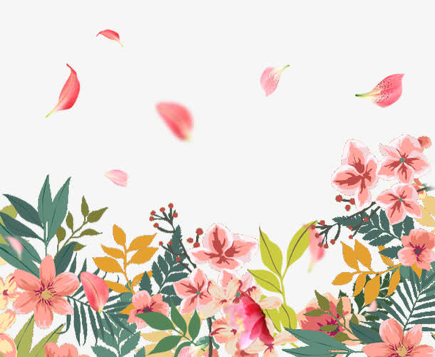 清新的粉色鲜花和花瓣免抠图免抠