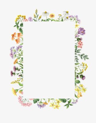 清新手绘花瓣装饰边框免抠