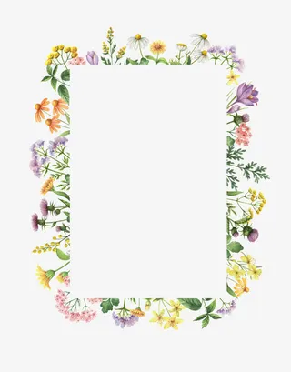 清新手绘花瓣装饰边框免抠