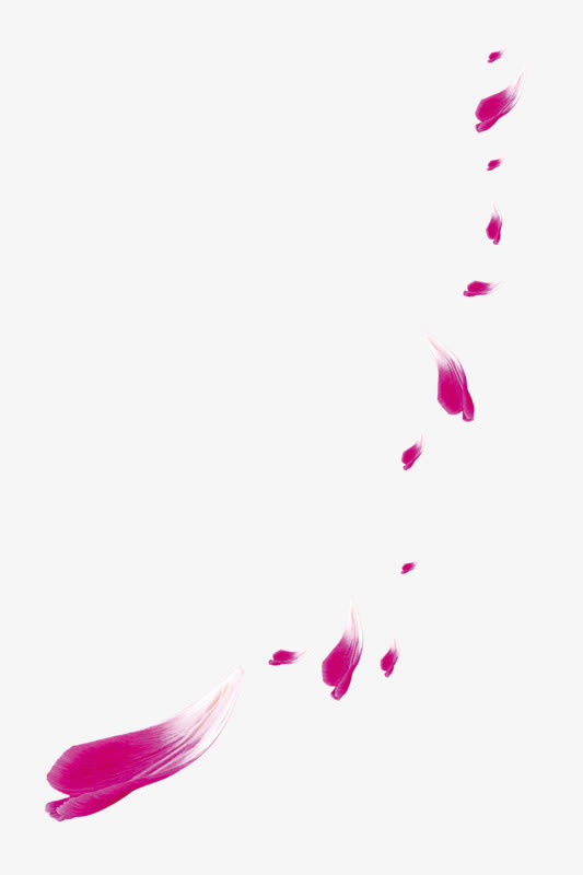 红色花瓣漂浮免抠