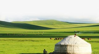 h5素材大草原免抠