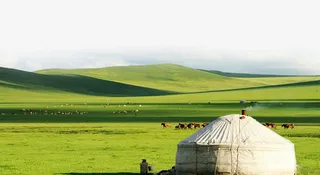 h5素材大草原免抠