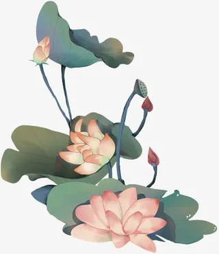 中国风水墨荷花和荷叶免抠