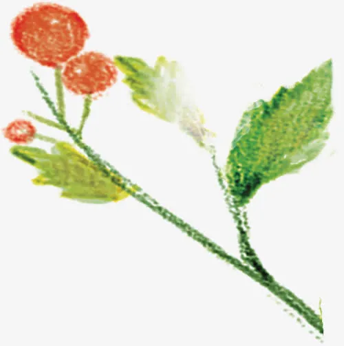 创业元素高清草本植物花朵合成免抠