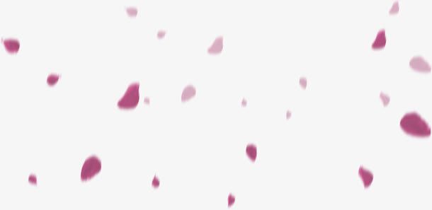 玫瑰花瓣满天飞免抠