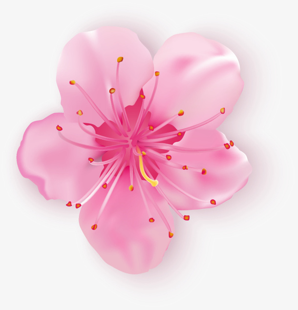 春天唯美粉色喇叭花免抠