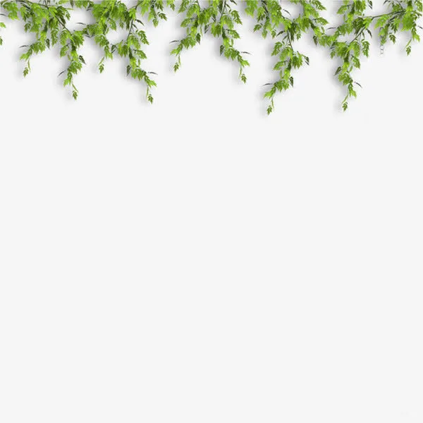 树枝免抠