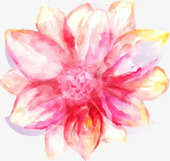 水彩花朵免抠