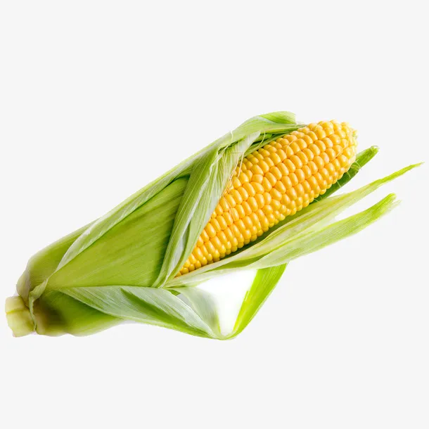 好吃的玉米棒子免抠