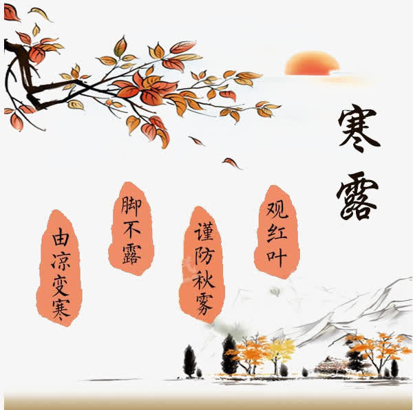 寒露免抠