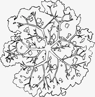 树木树枝黑白风手绘线稿平面免抠