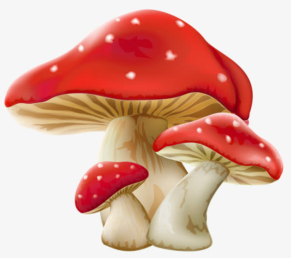 红色蘑菇免抠
