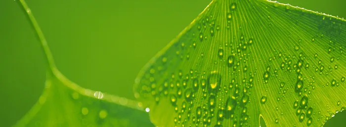 banner 淘宝 天猫 背景高清