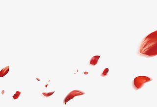 飘洒的红色玫瑰花瓣免抠