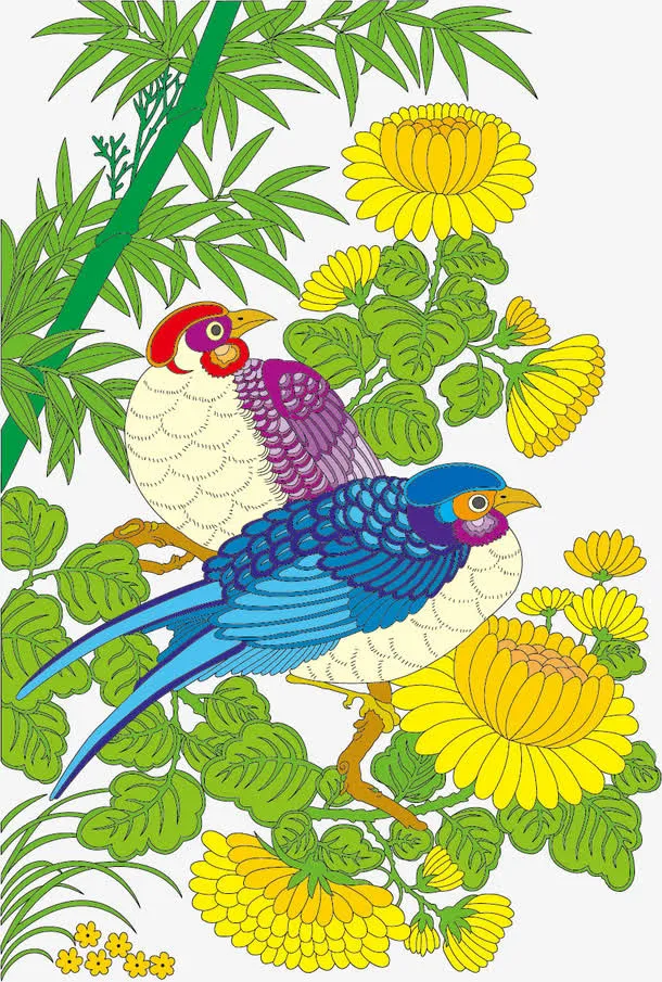 花鸟素材免抠