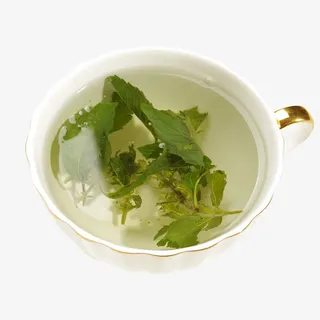 一杯薄荷叶茶免抠