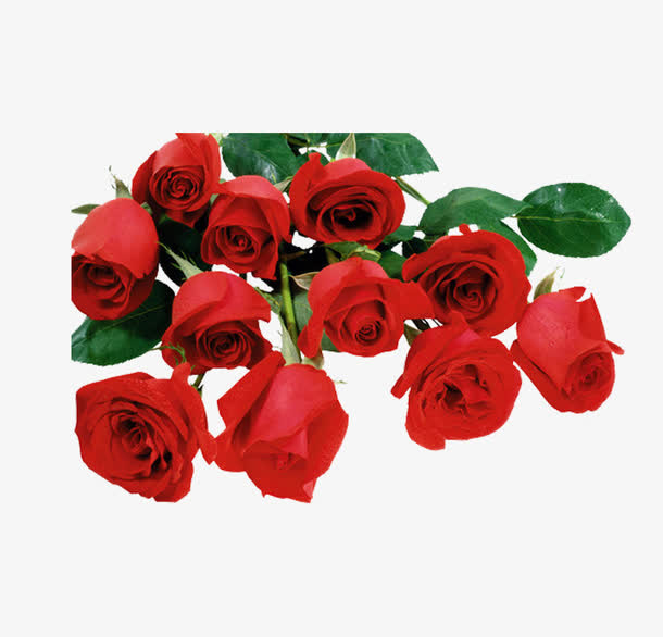 鲜花免抠