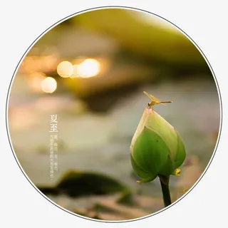 中国风荷花免抠