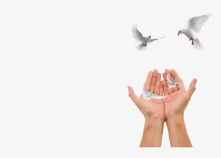 手捧和平鸽免抠