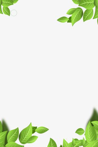 绿叶子背景边框免抠
