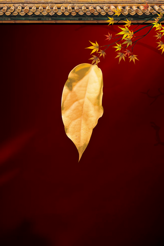 秋天立秋背景围墙树叶树枝高清