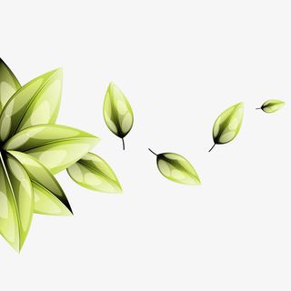 精致叶子背景矢量素材