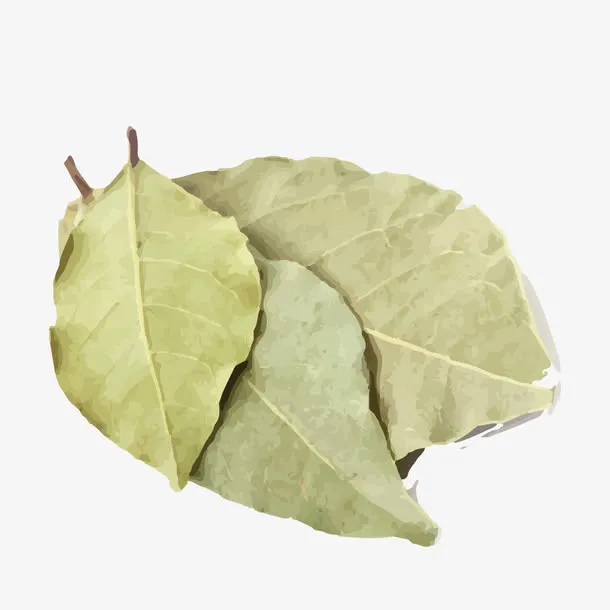 调味香叶免抠