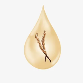 金色水滴虫草精华免抠