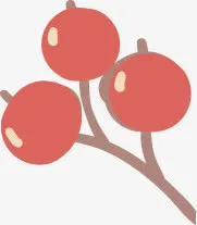 手绘红色果实树枝免抠