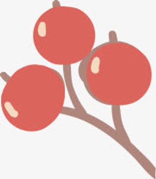 手绘红色果实树枝免抠