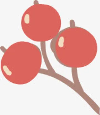 手绘红色果实树枝免抠