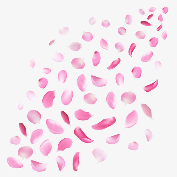 粉色花瓣设计矢量素材免抠