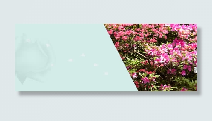 创意简约海报背景图