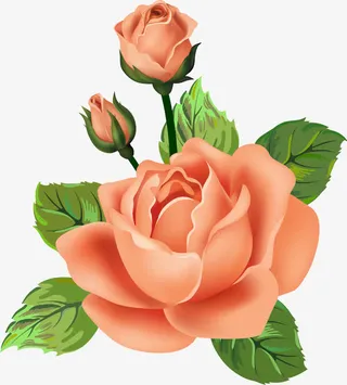 粉色牡丹花免抠