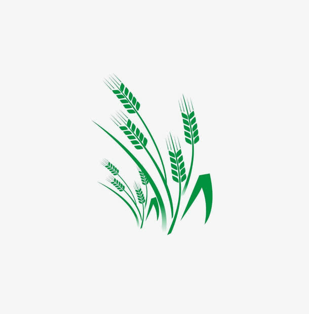 绿色麦穗免抠