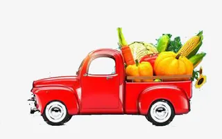 大丰收创意元素免抠